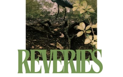 Dan Melchior - Reveries (Cudighi Records)