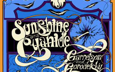 Garretson & Gorodetsky - Sunshine and Cyanide (Catasonic Records)