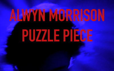 Alwyn Morrison - Puzzle Piece (self-released)