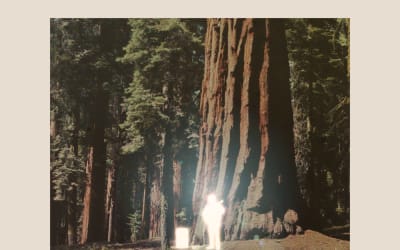 Nathaniel Earl - forget about me (self-released)