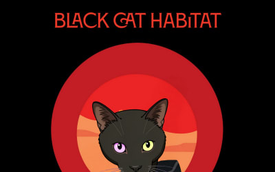 Black Cat Habitat - Stepping Off The Crag (self-released)