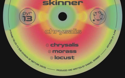 Skinner - Locust [Pyramid Fields] ~ Bolting Bits