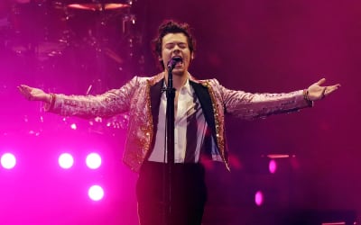 Harry Styles to curate 2026 Meltdown festival at Southbank Centre