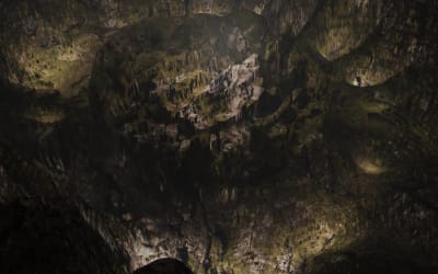 Toni Geitani, “Wahj”