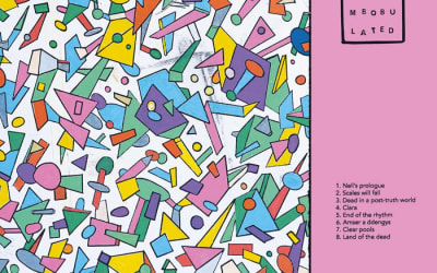 Hen Ogledd, “DISCOMBOBULATED”