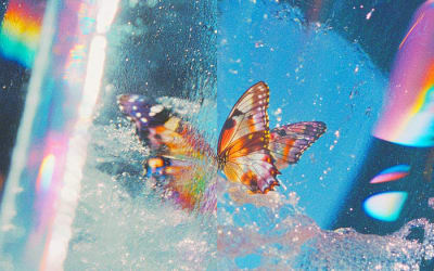 Daphni, “Butterfly”