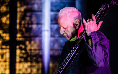 The Sound of One String Singing: A Guide to Arnold Dreyblatt