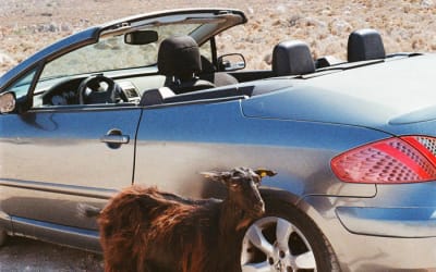 EXEK, “Prove The Mountains Move”