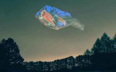 Elektro Guzzi - Liquid Center - Elektro Guzzi’s Liquid Center is their most focused and sonically open album yet — a warm, precise, and deeply immersive experience that transforms analog live energy into a detailed, evolving techno soundscape.