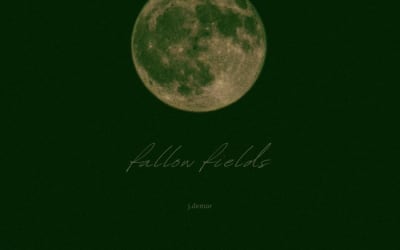 j.demar - fallow fields - The shape of what's missing, held in the light that remains.