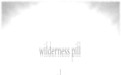 Wilderness Pill - Wilderness Pill - Electric guitar improvisations, drones, distortions, dissonances, and repetitions through ailing solid-state amplification from a crumbling room in a sinking house, in a poisoned city on the brink of collapse.