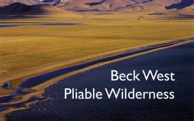 Beck West - Pliable Wilderness - Sonic comfort food for your journey across uncharted territory.