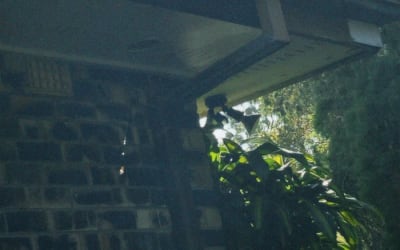 Zam - Say goodbye - Nostalgic dreamy scene in a world of love and growth on why are we exist in the first place