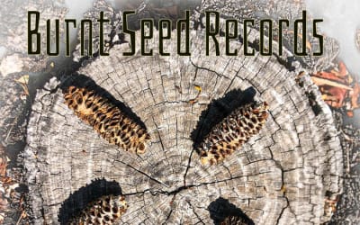 Burnt Seed Records (Various Artists) - Sprouted Volume 5 - The fifth annual compilation from Burnt Seed Records offeing awide-ranging and diverse palette of sounds, capturing a vibrant snapshot of the thriving creative communities across Boorloo (Perth), Naarm (Melbourne) and Gunaikurnai (Gippsland).