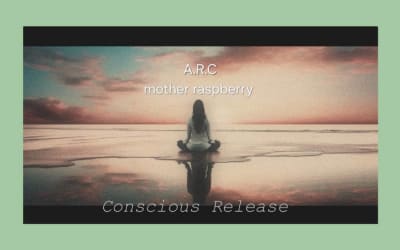 Mother Raspberry & A.R.C. - Conscious Release - The greatest collaboration of mother raspberry and A.R.C. yet! 23 tracks of varied musical insanity! Grab some yoga pants and meditate your way to madness.