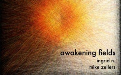Mike Zellers - awakening fields - Gong/Flute with treatments. Experimental Ambient