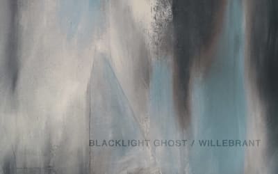 Willebrant - Dust - ‘It doesn't try to tell you how to feel, it lets you feel however you really want to about it.’