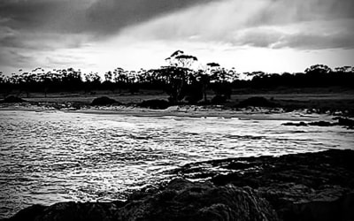 New Release ‘Selected Works - Slowed and Reverb, Volume 1’ from Willebrant