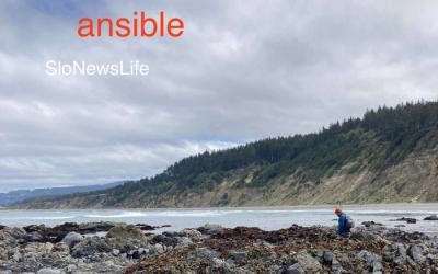 SloNewsLife - ansible - Many of these songs were written and recorded while staying at a house on the Puget Sound shortly after a family funeral.