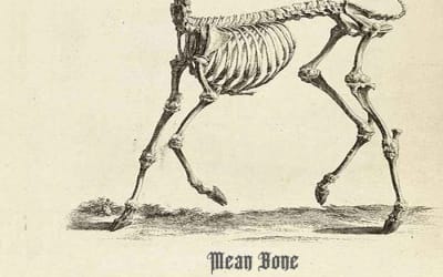 Buzzard (Doom Folk Metal) - Crushing Burden of Despair - Both soulful and sarcastic, this bluesy, doomy stomp pulls zero punches with its social commentary.