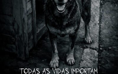 Na'mbi - Todas as Vidas Importam - Extreme Metal for Animal Rights.