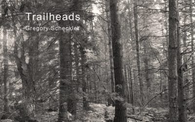 Gregory Scheckler - Trailheads - Jazz and funk-infused experimental synth jams with luxurious grooves, rich improvisations.