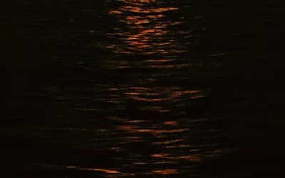 Kill the Will - Out of Darkness into Gloom - Experimental/instrumental/avant-garde album with progressive, post-rock, and ambient influences.