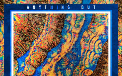 Generik* - ANYTHING BUT - A search for authenticity in a corrupted cultural landscape through the sounds of a postmodern future with deep roots in tradition ANYTHING BUT GENERIK.