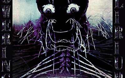 Looned - Flowering Delirium - Noise/ambient, creating a contrast of tranquility and harshness, woven from a vision of dark surrealism.