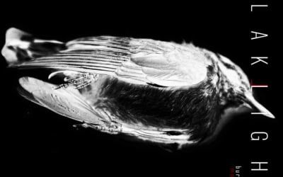 BlakLight - Buried Alive - Maxi Single - Los Angeles dark synthpop trio BlakLight return with a reimagined “Leave A Light On’.