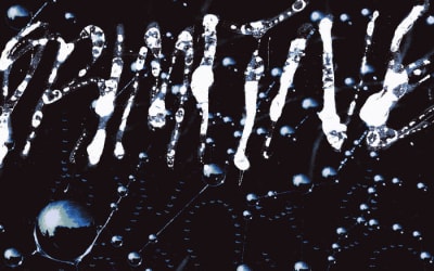 Jentlemen - Primitive Objects - A brain dance for those desiring something between ambient and techno-adjacent