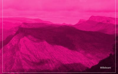 Willebrant - Cowwarr___ - A delicate tapestry of meditative drone and wild ambience