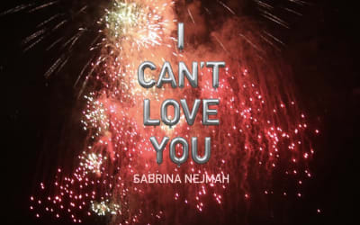 Hot Picks 23/2/26 Part Two - The Best New Releases - FVMusicBlog