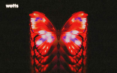 Hot Picks 16/2/26 - The Best New Releases - FVMusicBlog