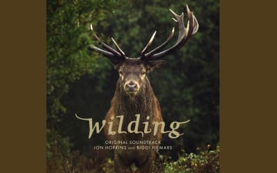 Jon Hopkins Goes Back to Nature with ‘Wilding’ » PopMatters