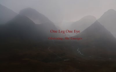 Ian Lynch's One Leg One Eye project releasing expanded debut album and tour with Godspeed You! Black Emperor  | Nialler9