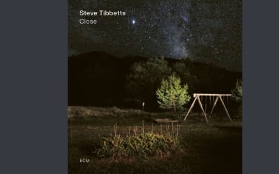 Guitarist Steve Tibbetts Creates Beautiful Chaos