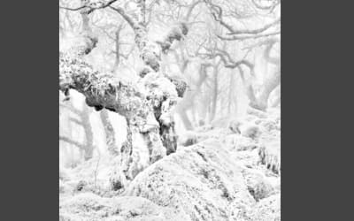 ElectroMatters: The Best Electronic Music of February 2026 » PopMatters