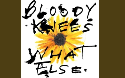 Bloody Knees Shapeshift on ‘What Else’ » PopMatters
