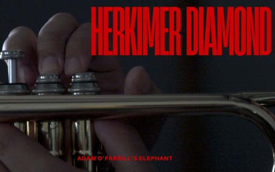 Trumpeter Adam O'Farrill Dances with Brillance on ‘Elephant’ » PopMatters