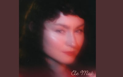 AE MAK announces debut album Folk Songs for Mama & Papa | Nialler9