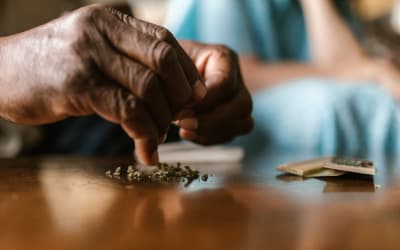 High Notes: Cannabis in Music History and Culture