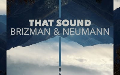Premiere: Brizman and Neumann - Morning Mayhem - Inverted Audio