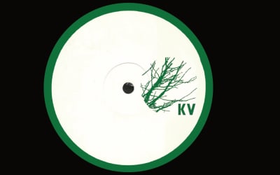 Premiere: POD & Edward Richards - Temporal Loop Transcendance (Pugi_s Mariana Mix) - Inverted Audio