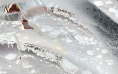 Premiere: Michael Claus - Surveillance Species - Inverted Audio