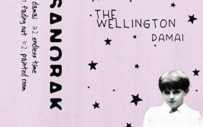 “Get Ready to Feel: The Wellington’s Damai Cassette Edition is Your Essential New Jangly No-Fi release