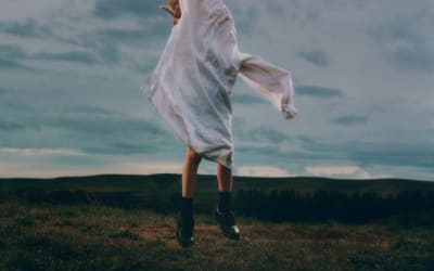 Dive into “Birding” by Deary: An Ethereal Dream-Pop Adventure Blending Shoegaze and Jangle-pop, Capturing a Cinematic Experience of Intense Sweeping Emotions.