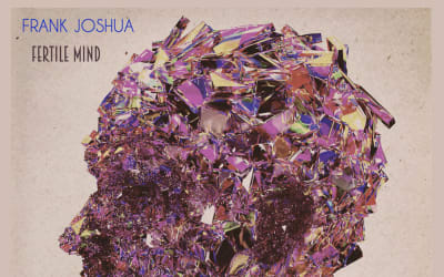 “Fertile Mind”: Frank Joshua y el arte del pop introspectivo - La Caverna