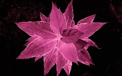 JaR lanza “Agla”, un manifiesto de metal alternativo - La Caverna