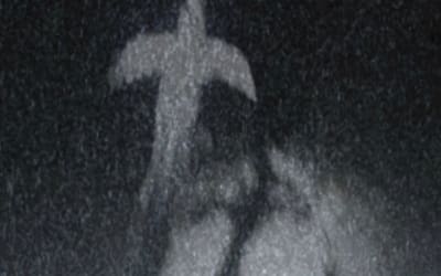 Nuevas canciones sobre amor, caos y realidad - La Caverna